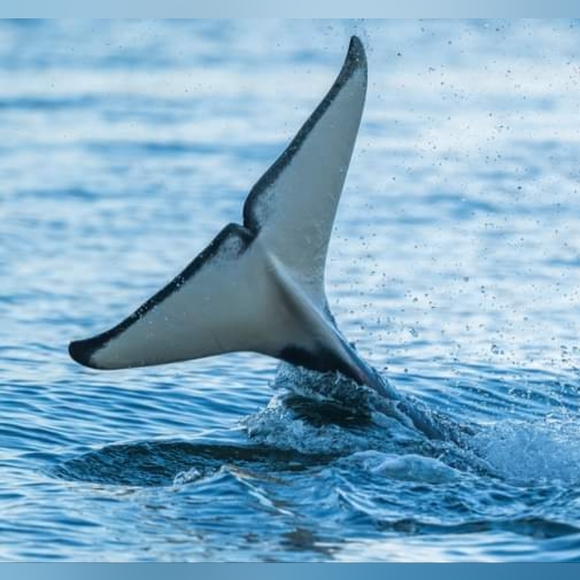 Meet your Posher, Jenna - Picture 11 of 11